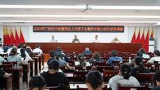 广西名中医黄国东团队到平果开展“名中医八桂行”活动
