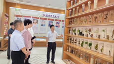 中国民族卫生协会专家团队到附属国际壮医医院开展学术帮扶交流活动