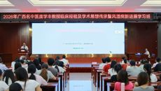 第二附属医院广西名中医庞学丰教授临床经验及学术思想传承暨风湿病新进展学习班顺利举办