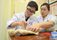 【新华网】一名越南留学生的岐黄薪火跨国传承