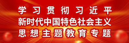 学习贯彻习近平新时代中国特色社会主义思想主题教育专题