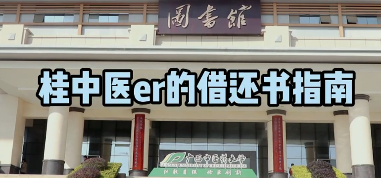 视频展示