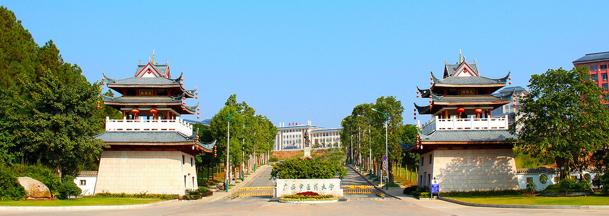 广西中医药大学风景图图片