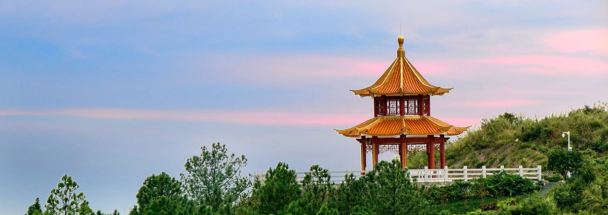 广西中医药大学风景图图片