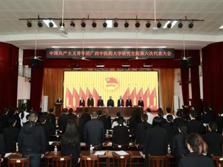 砥砺奋进新时代 扬帆起航新征程——共青团广西中医药大学研究生院第六次代表大会顺利召开