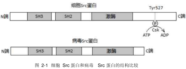 C:\Users\Administrator\AppData\Roaming\Tencent\Users\478839447\QQ\WinTemp\RichOle\B8C}%`{2`ND3`C~P()@@8HB.png