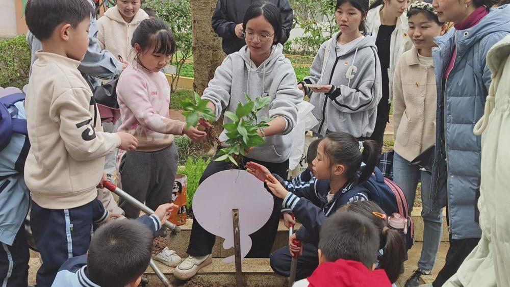 种植现场