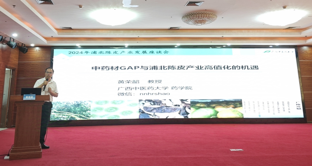 黄荣韶教授在会上演讲.jpg 黄荣韶教授在会上演讲.jpg