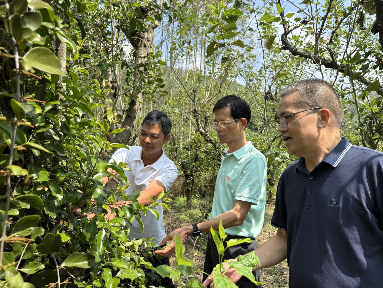 添加图片描述 添加图片描述