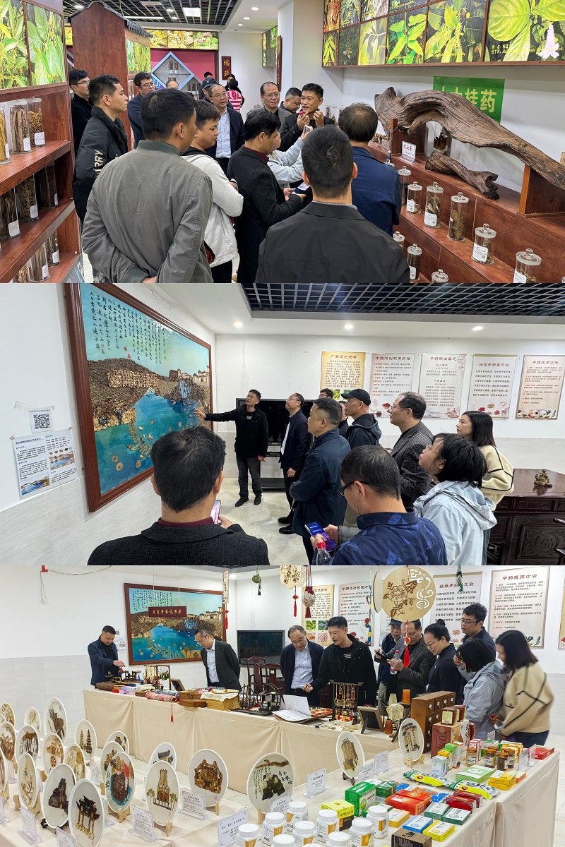 参观药学院标本馆