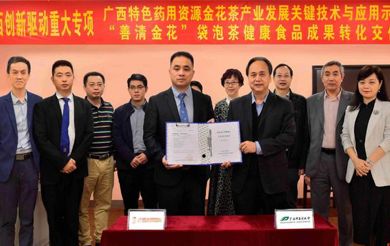 广西创新驱动重大专项“广西特色药用资源金花茶产业发展关键技术与应用示范研究”成果“善清金花”袋泡茶健康产品实现成果转化