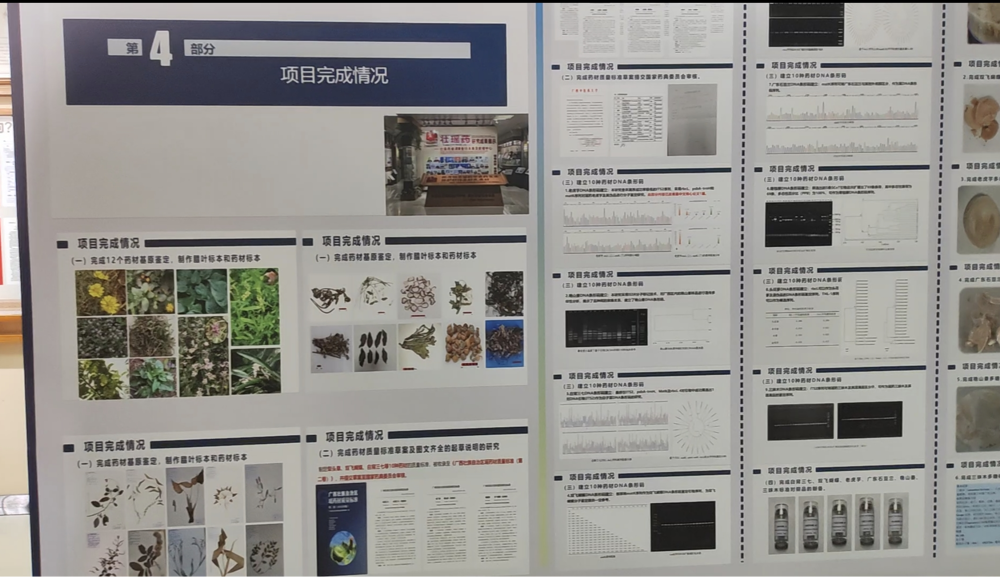 图片7 图片7