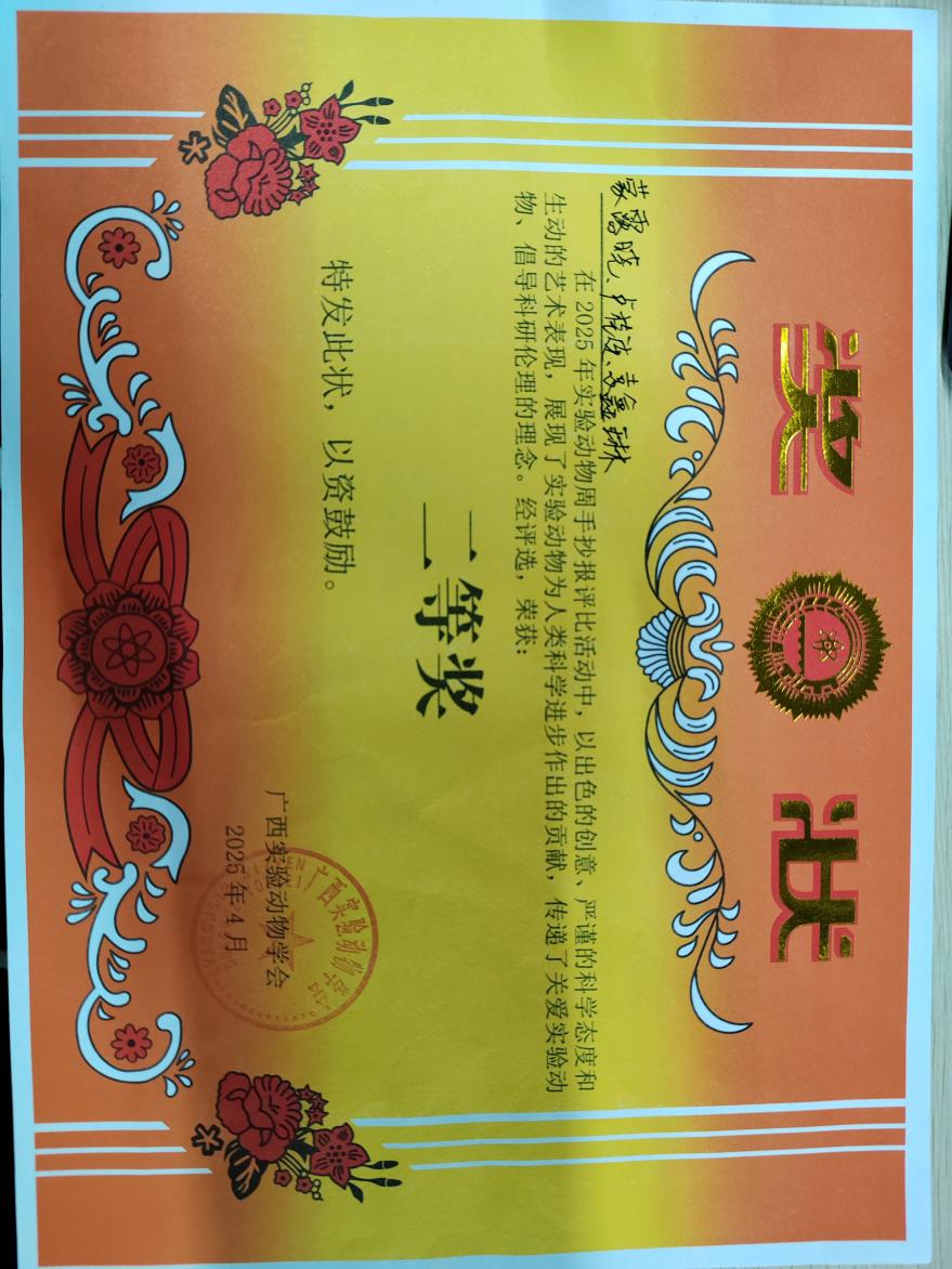 添加图片描述