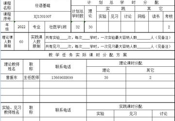 壮语基础教学任务分配表