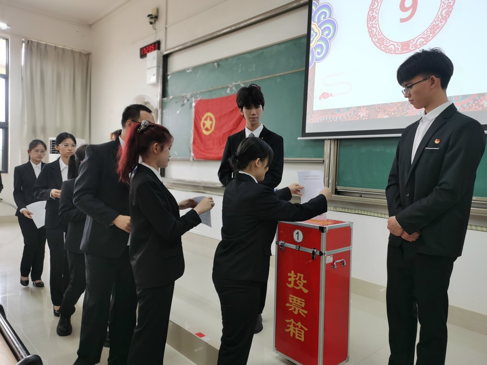 不记名投票 不记名投票