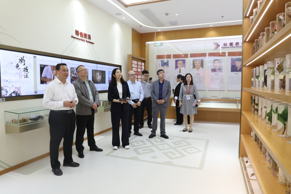 参观广西国际壮医医院民族医药展区 参观广西国际壮医医院民族医药展区
