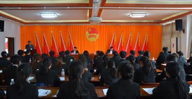 共青团广西中医药大学壮医药学院第二次代表大会胜利召开