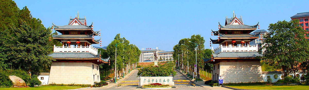 首页大图-01